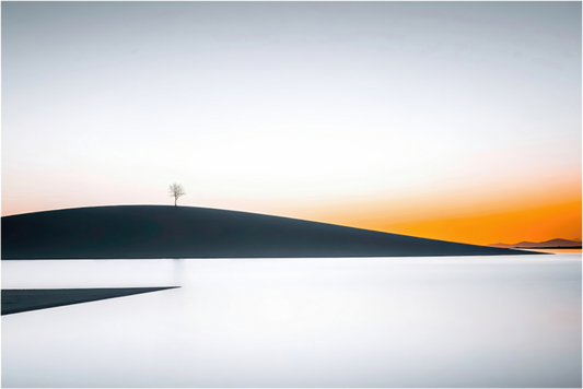 Main image Einsamer Baum im Abendlicht