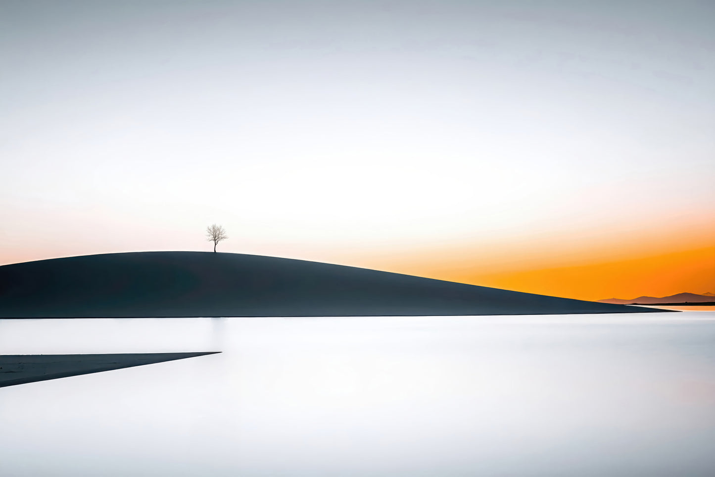 Solitary Tree in Evening Light—Wall Art, Fine Art Print, Canvas, Acrylic Print, Aluminum Dibond