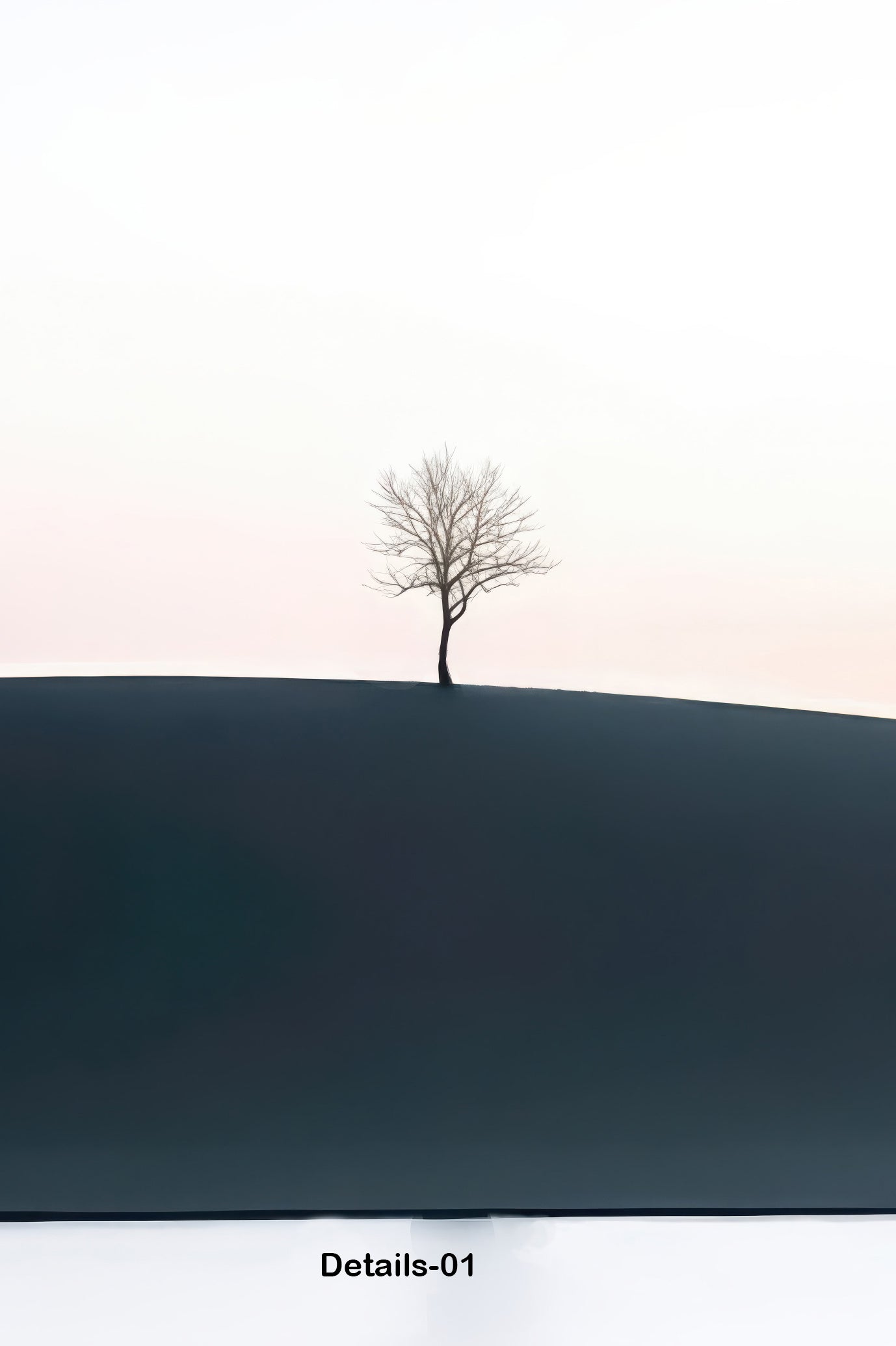 Solitary Tree in Evening Light—Wall Art, Fine Art Print, Canvas, Acrylic Print, Aluminum Dibond